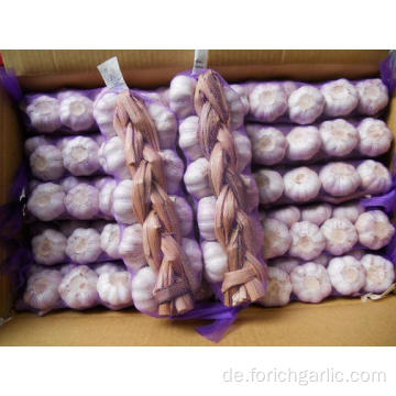 Jinxiang gute Qualität Knoblauch Zöpfe verschiedene Pakete